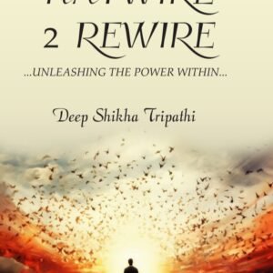 HAYWIRE 2 REWIRE UNLEASHING THE POWER WITHIN